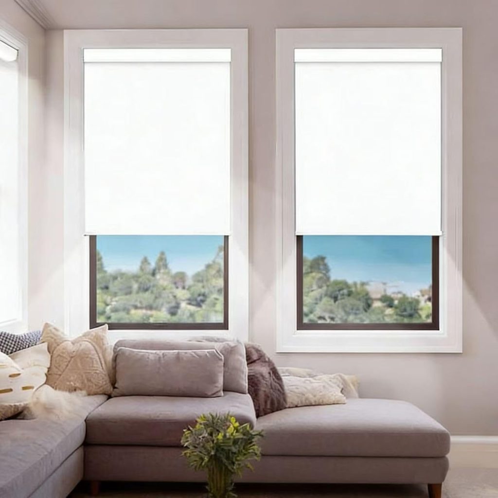 Motorized Blinds